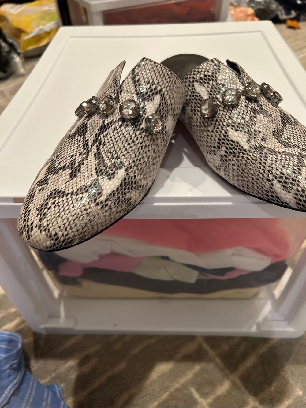 Logo animal print slides